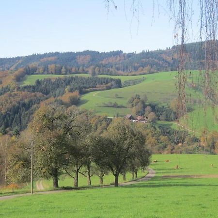 Ferienhaus Hubhof Appartement Oberharmersbach Buitenkant foto