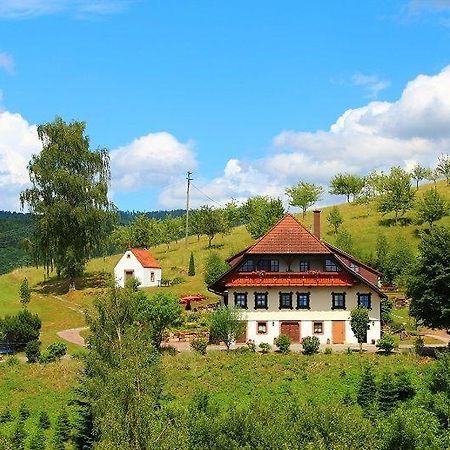 Ferienhaus Hubhof Appartement Oberharmersbach Buitenkant foto