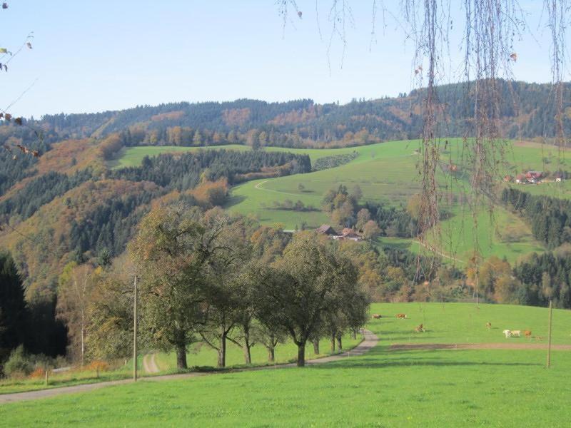 Ferienhaus Hubhof Appartement Oberharmersbach Buitenkant foto