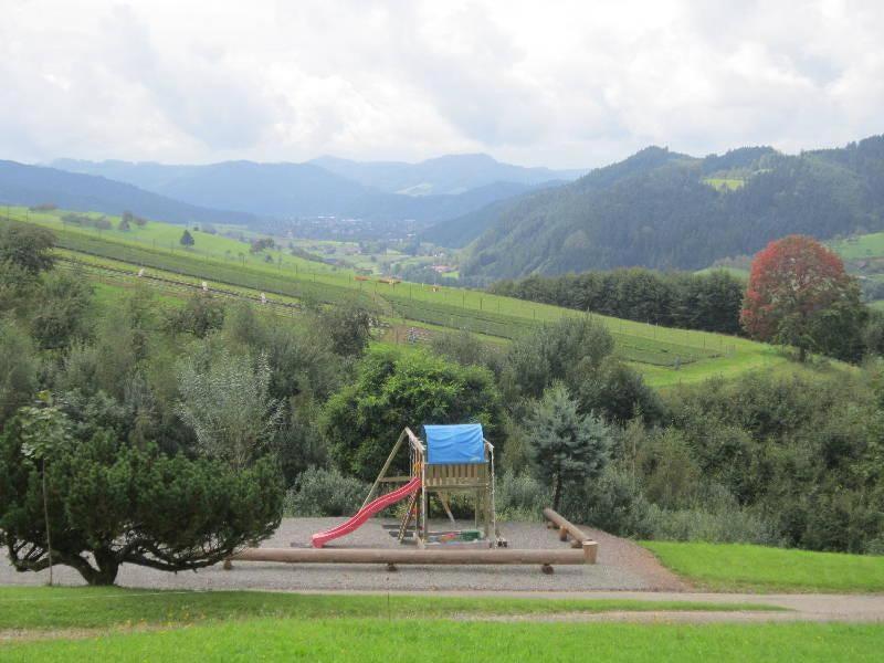 Ferienhaus Hubhof Appartement Oberharmersbach Buitenkant foto