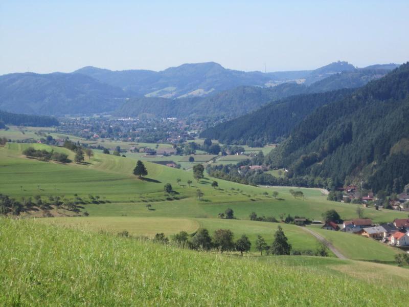 Ferienhaus Hubhof Appartement Oberharmersbach Buitenkant foto