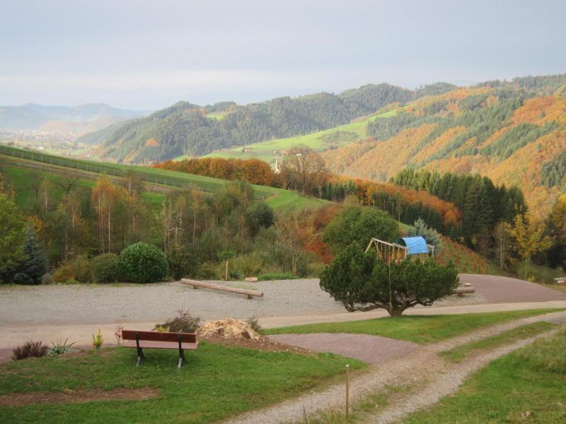 Ferienhaus Hubhof Appartement Oberharmersbach Buitenkant foto