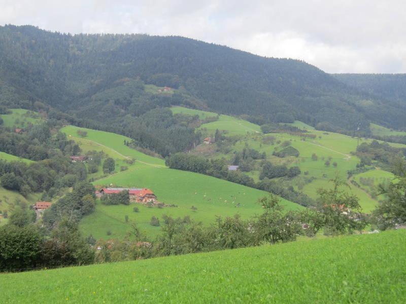 Ferienhaus Hubhof Appartement Oberharmersbach Buitenkant foto