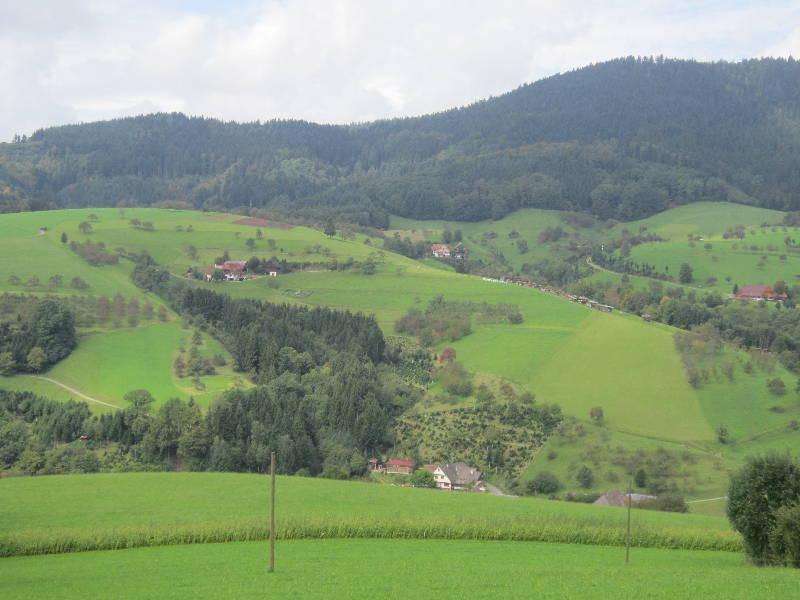 Ferienhaus Hubhof Appartement Oberharmersbach Buitenkant foto