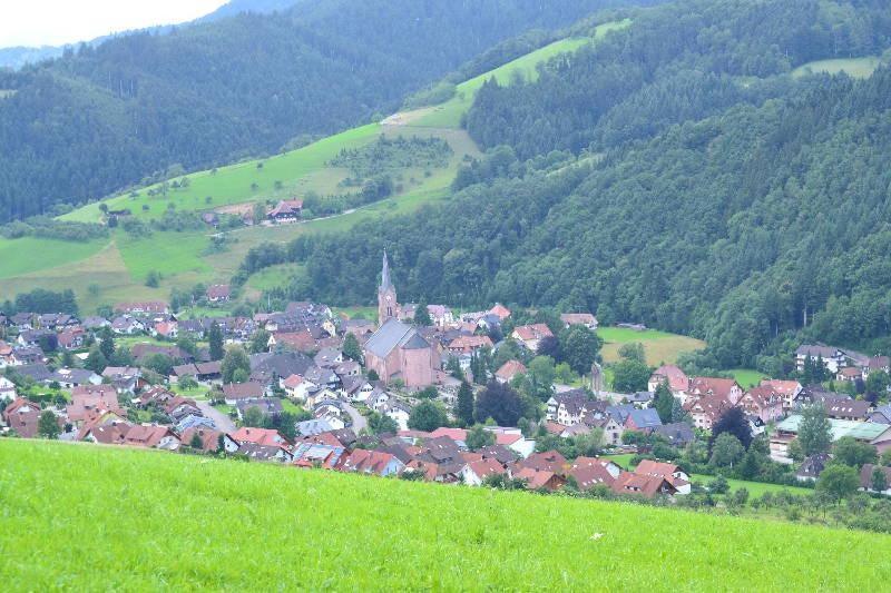 Ferienhaus Hubhof Appartement Oberharmersbach Buitenkant foto