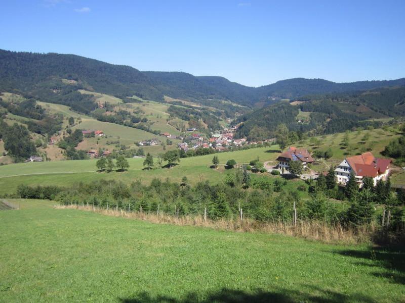 Ferienhaus Hubhof Appartement Oberharmersbach Buitenkant foto