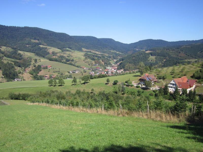 Ferienhaus Hubhof Oberharmersbach Buitenkant foto