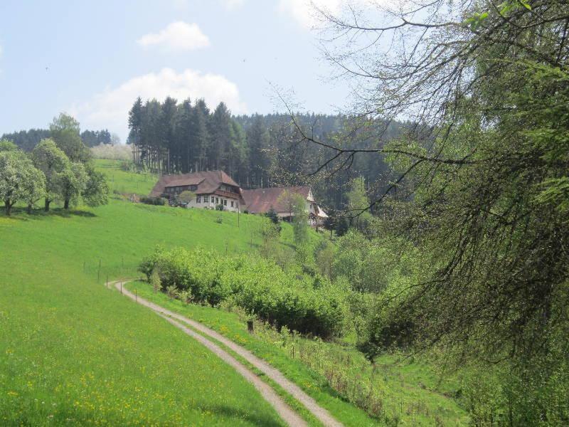 Ferienhaus Hubhof Appartement Oberharmersbach Buitenkant foto