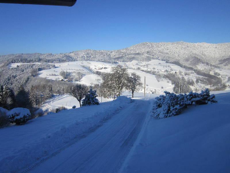 Ferienhaus Hubhof Appartement Oberharmersbach Buitenkant foto